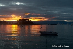 Sunset at Boat Shed Cafe, Nelson