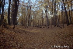 Franconian Ridge Trail