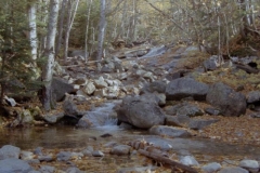 Franconian Ridge Trail