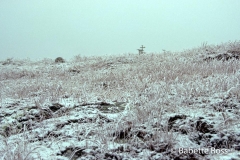 Mt. Moosilauke