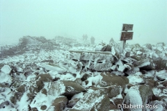 Mt. Moosilauke