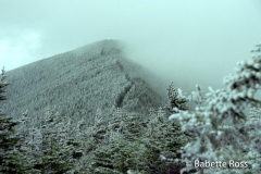 Mt. Moosilauke