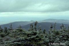Mt. Moosilauke