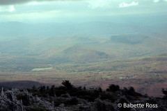 Mt. Moosilauke