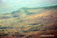 Mt. Moosilauke