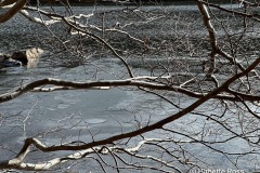 20250104_028