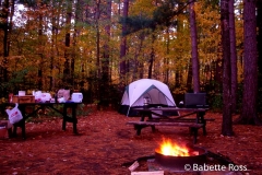 Campsite