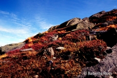 Wright Peak