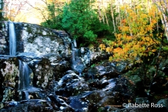 McIntyre Stream Falls