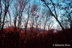 Adirondacks
