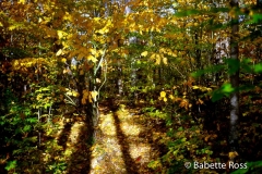 Adirondacks