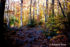 Adirondacks