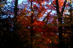Adirondacks