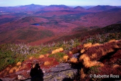 Wright Peak