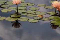 20120624_035