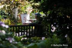 20120624_056