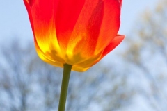 20110501_002