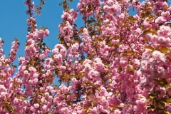 20110501_004