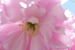 20110501_013