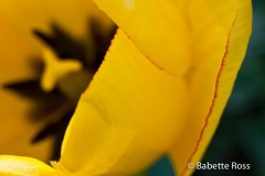 20110501_017