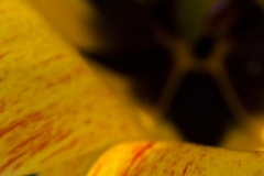 20110501_019