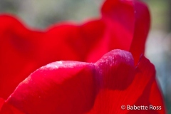 20110501_023