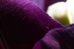 20110501_026