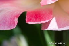 20110501_030