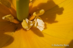 20110501_032