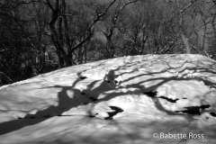 20021206_bw23