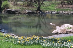 20030416_s05
