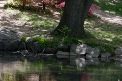20070514_05