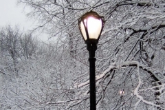 20100201_020