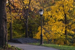20101118_009