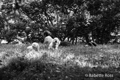 20140827_036