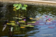 20140827_039