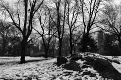 20170215_002