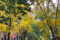 9th street