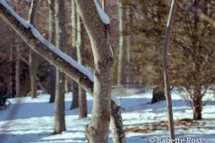 19981225_07