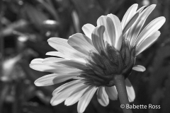 20050925_04a