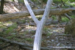 20020622_27