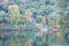20061006_04