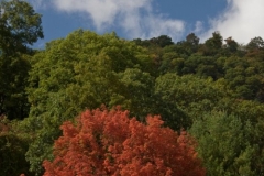 20071013_01