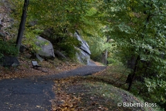 20071013_08