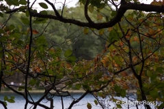 20071013_09