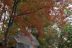 20071013_10