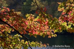 20071013_16