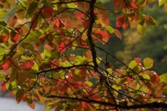 20071013_17