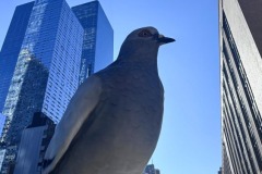 20250822_007