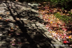 20151017_027